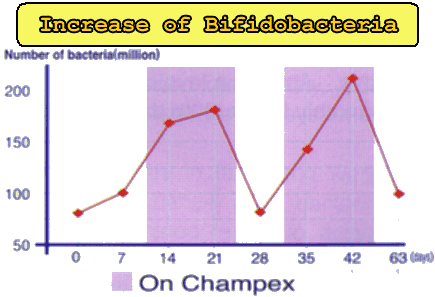 Increase of bifidobacteria