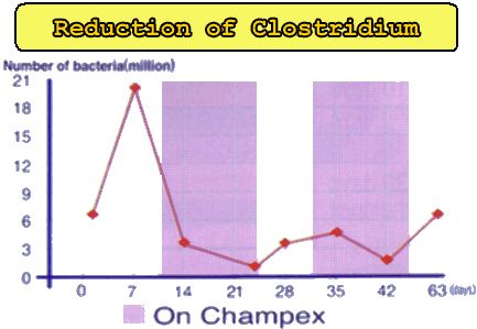 reduction of clostridium in the intestines