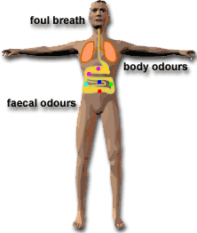 Foul Breath, Body Odours, Faecal Odours
