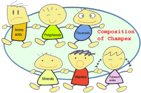Composition of Champex�