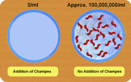 suppress growth of H.pylori