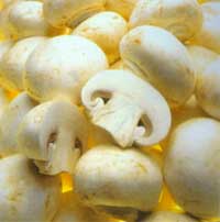 Champignon mushroom extract is effective in eliminating unpleasant body and mouth odours